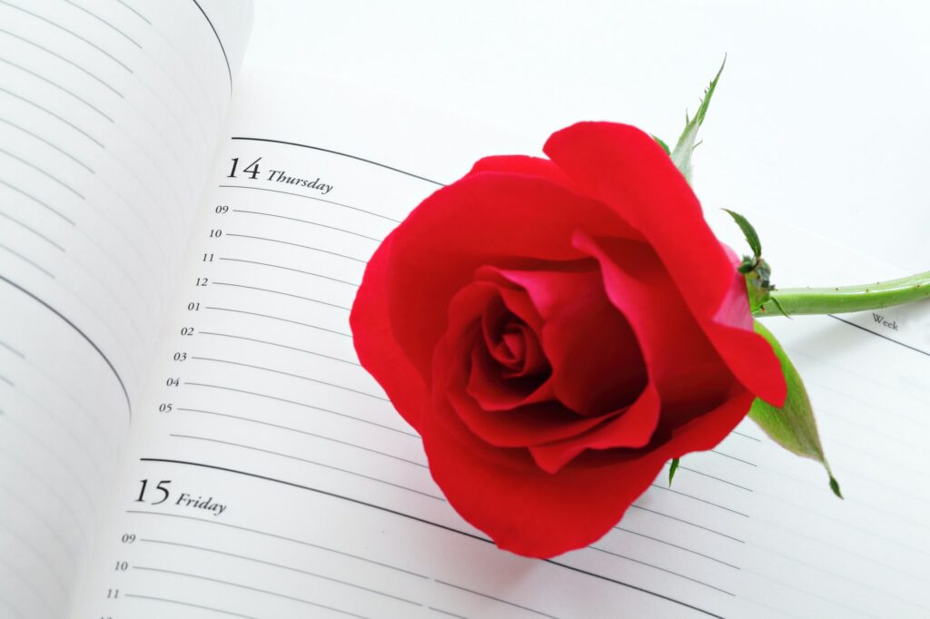 Red rose with calendar