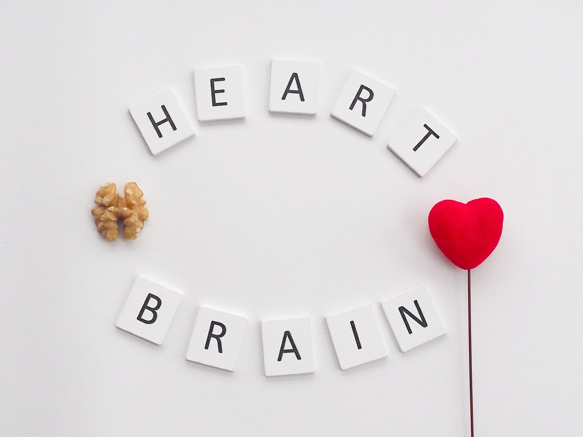 The words Heart and Brain with a red heart on the white background